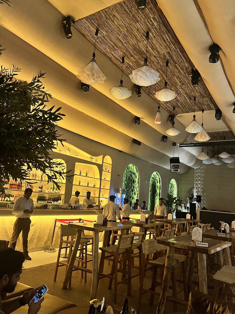 Millennials / Panampilly Nagar