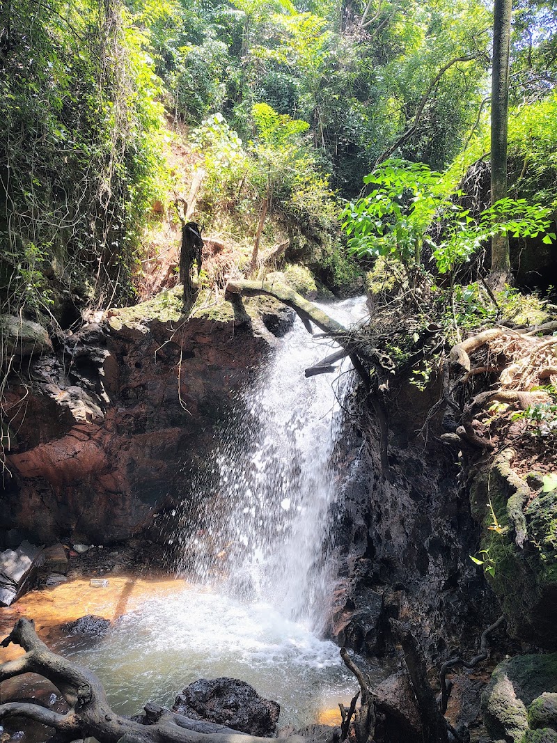 Mist Verna Waterfall / South Goa Place mentioned in saved reels