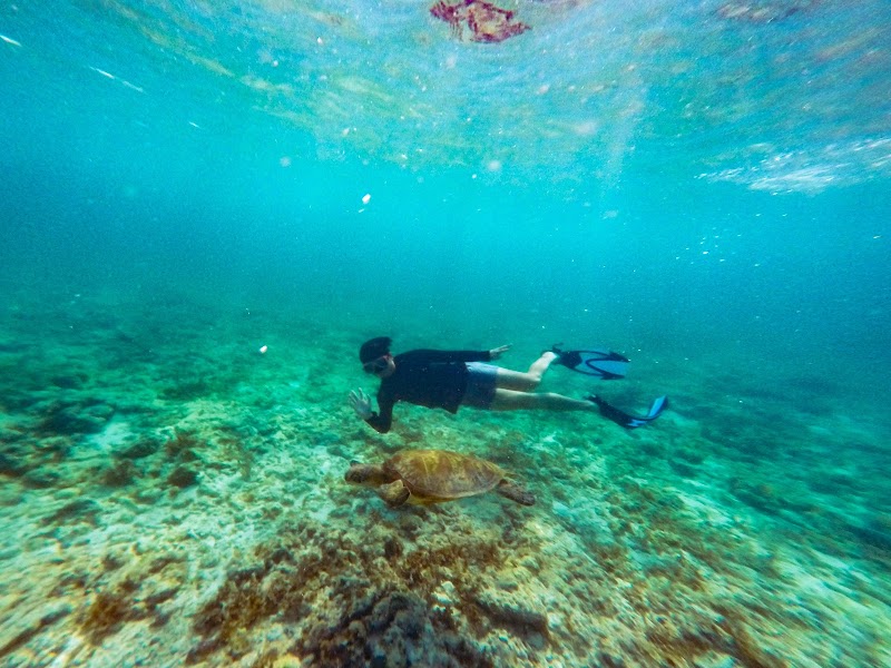 Moalboal / Cebu Place mentioned in saved reels