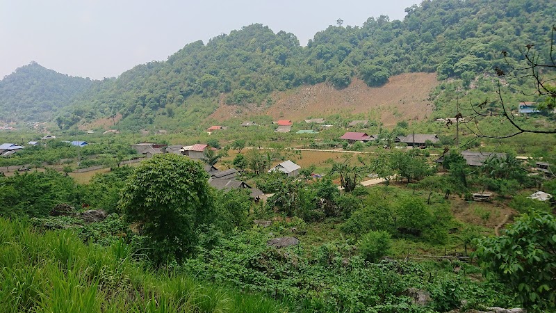 Moc Chau / Vietnam