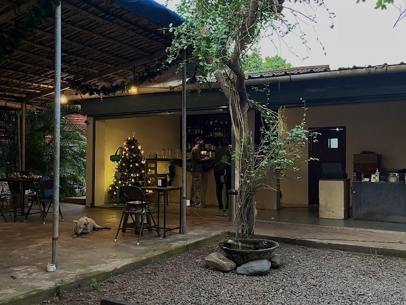 Mon Petit Frere / Colva Place mentioned in saved reels