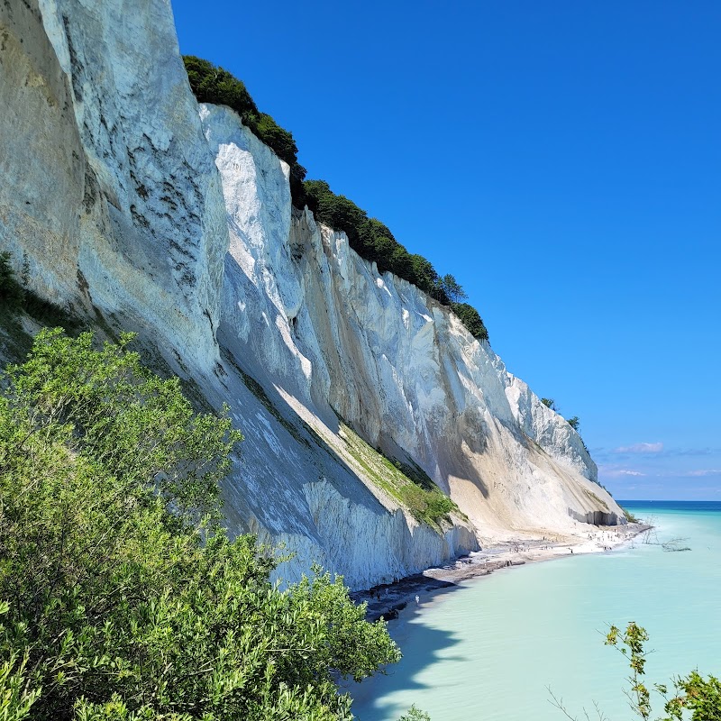 Mons Klint / Denmark Place mentioned in saved reels