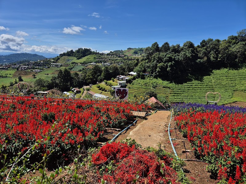 Mont Jam / Chiang Mai Place mentioned in saved reels