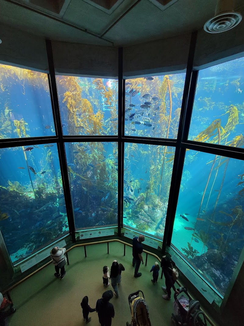 Monterey Bay Aquarium / Monterey