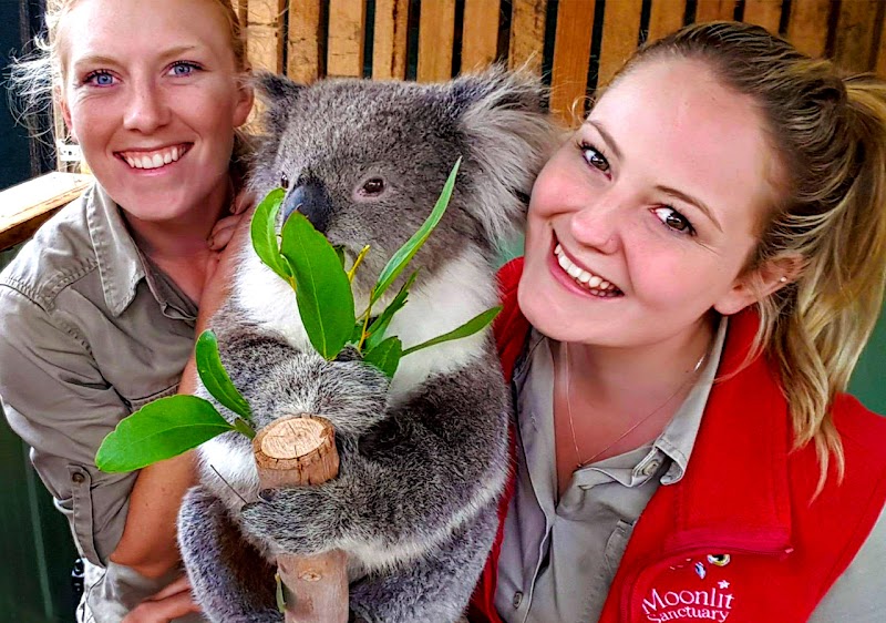 Moonlit Sanctuary / Pearcedale Place mentioned in saved reels