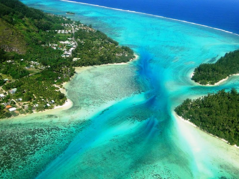 Mo’orea / French Polynesia Place mentioned in saved reels