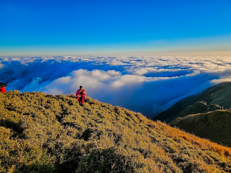 Mount Pulag