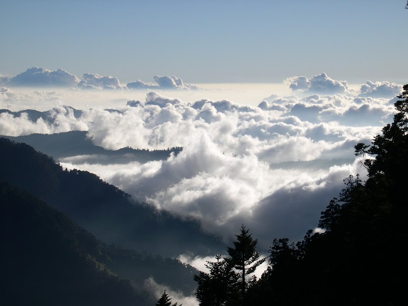 Mount Yushan / Taiwan Place mentioned in saved reels