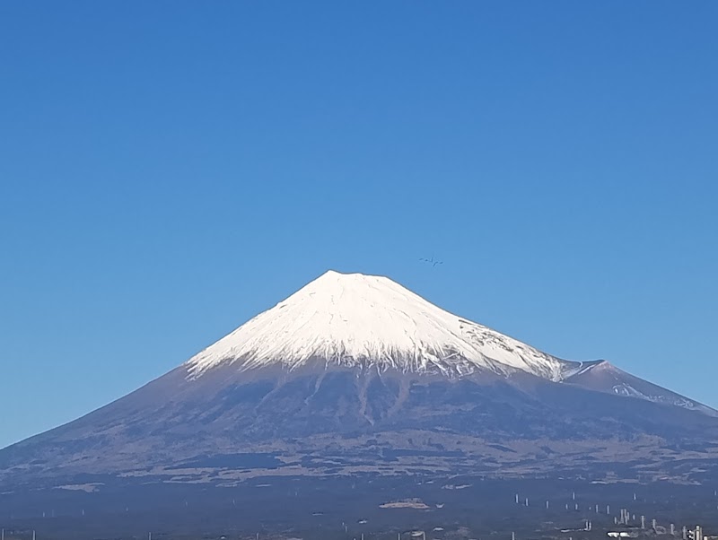 Mt. Fuji Dream Bridge / Japan