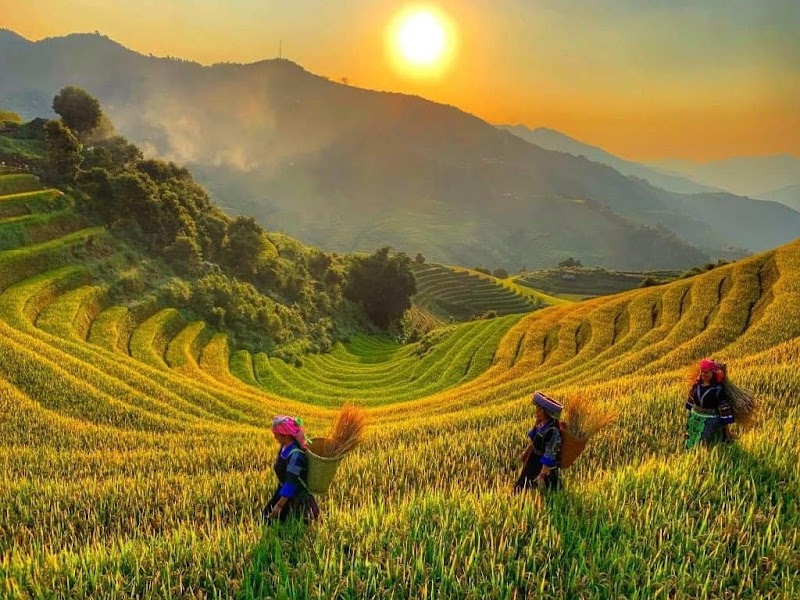 Mu Cang Chai / Vietnam Place mentioned in saved reels
