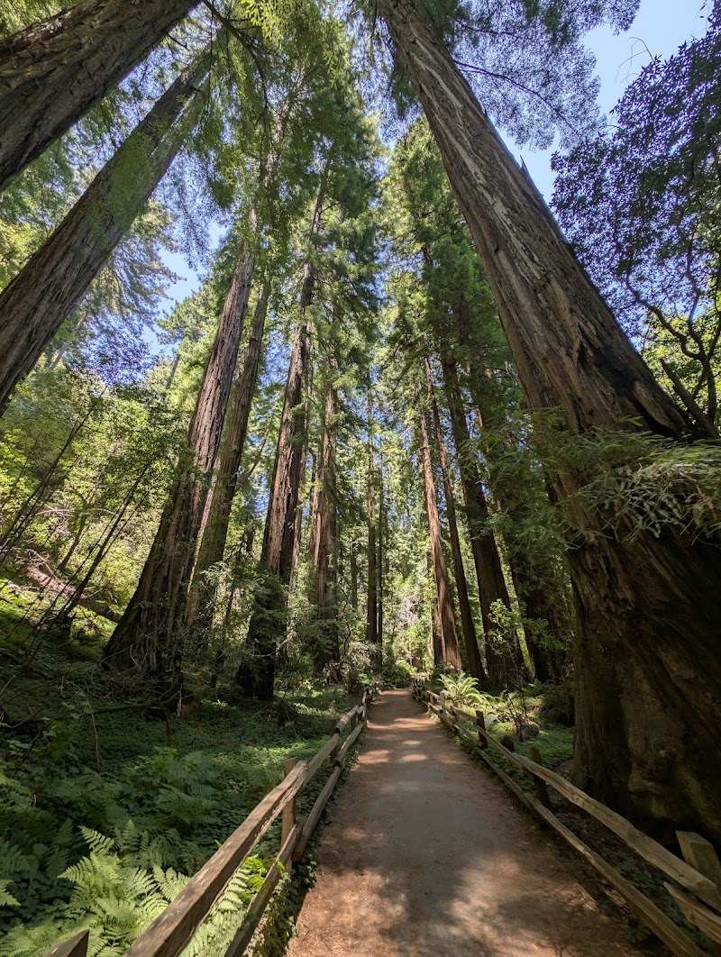 Muir Woods Place mentioned in saved reels