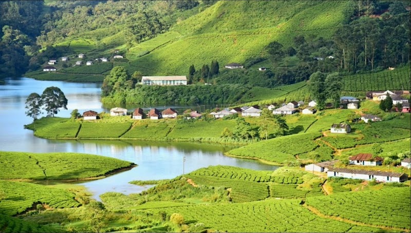 Munnar / Kerala Place mentioned in saved reels