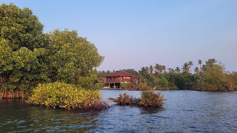 Munroe Island Place mentioned in saved reels