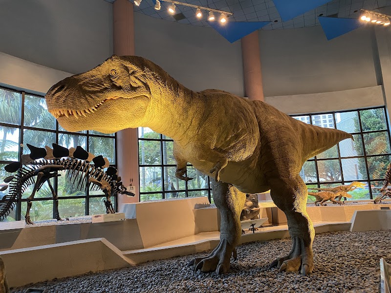 National Museum of Natural Science / Taichung Place mentioned in saved reels