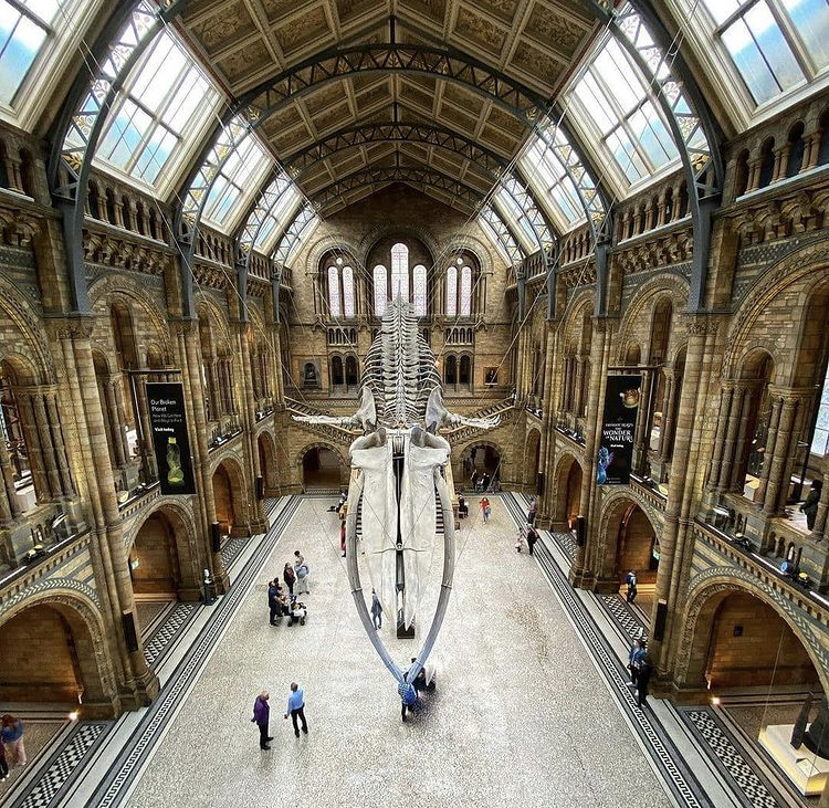 Natural History Museum / London