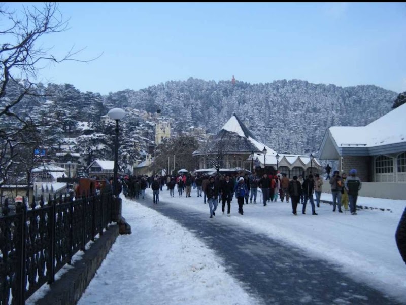 Near Ridge / Shimla