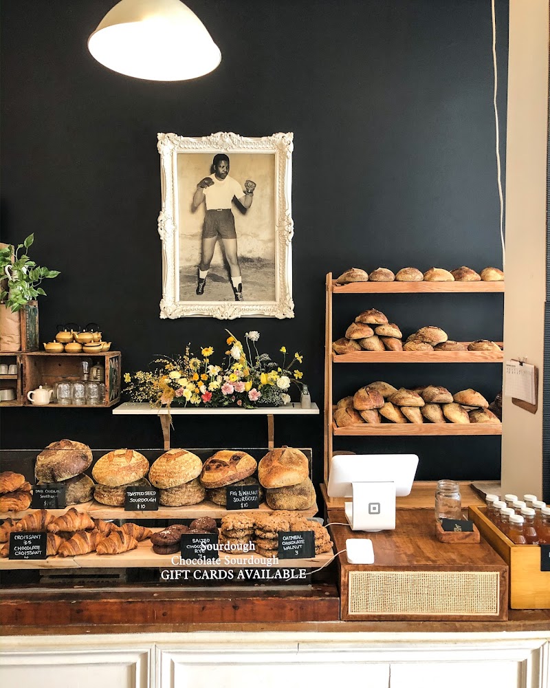 Nelson the seagull / Vancouver Place mentioned in saved reels