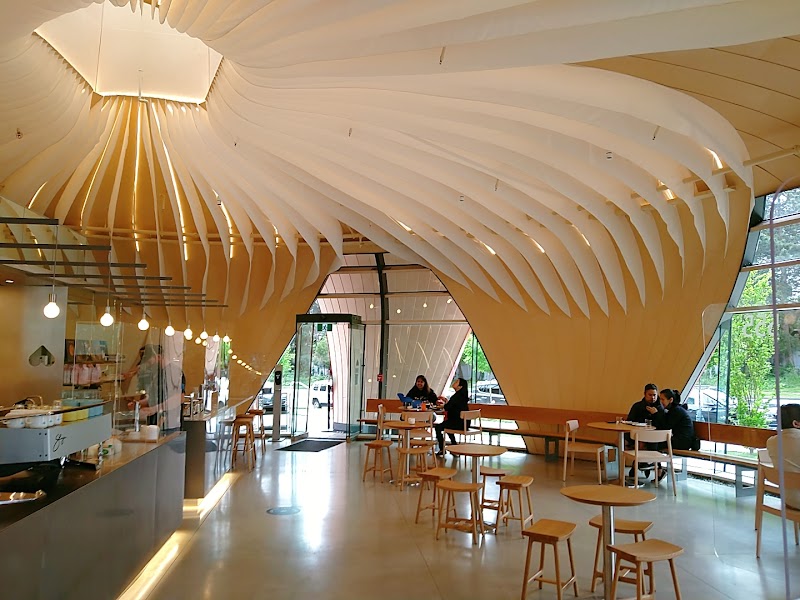 Nemesis / Vancouver Place mentioned in saved reels