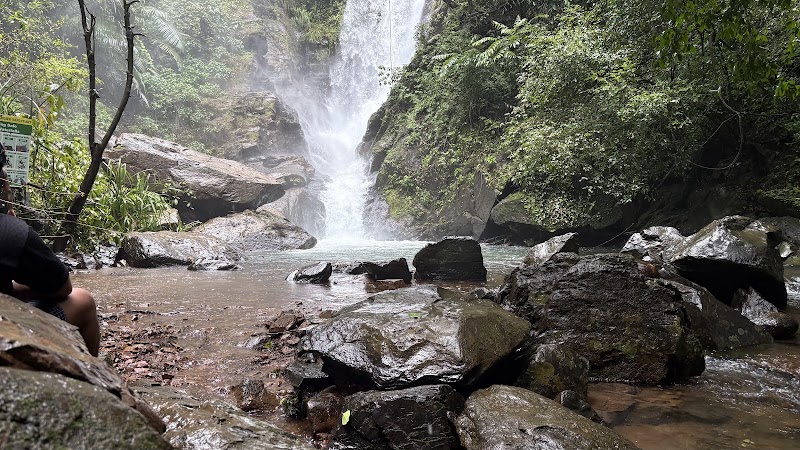 Netravalli Wildlife Sanctuary / South Goa Place mentioned in saved reels
