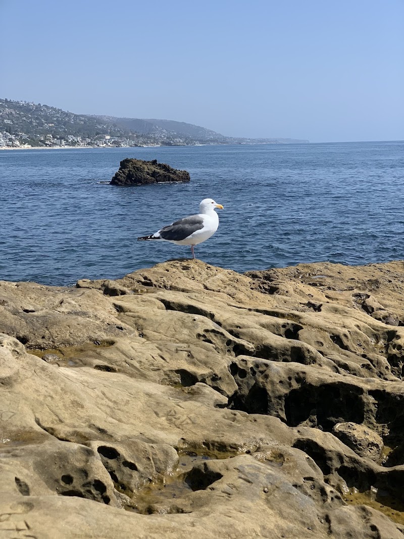Newport Beach Marine Life Refuge / Newport Beach