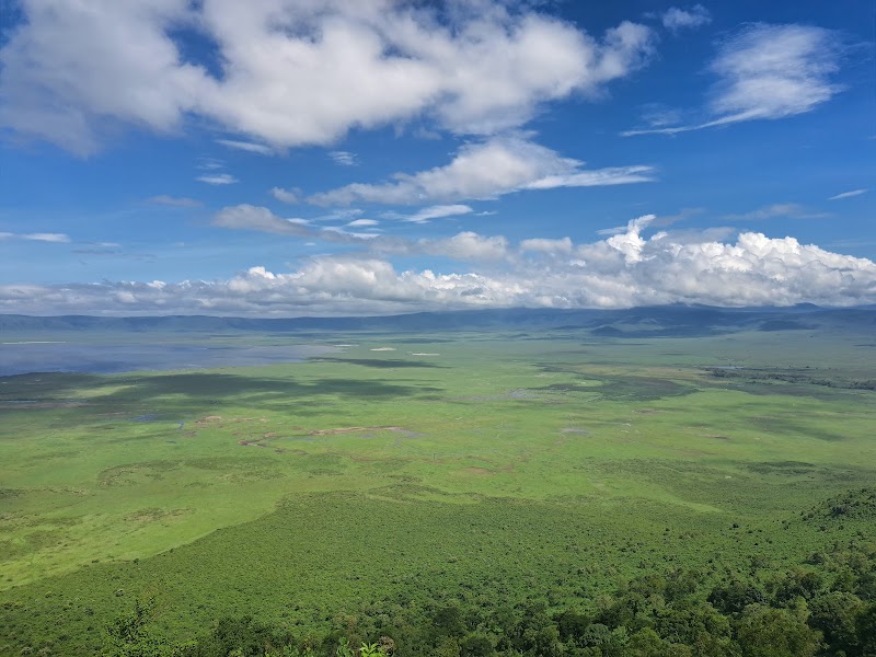 Ngorongoro Conservation Area / Tanzania Place mentioned in saved reels