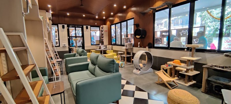 Nine Lives Cat Cafe / FC Road