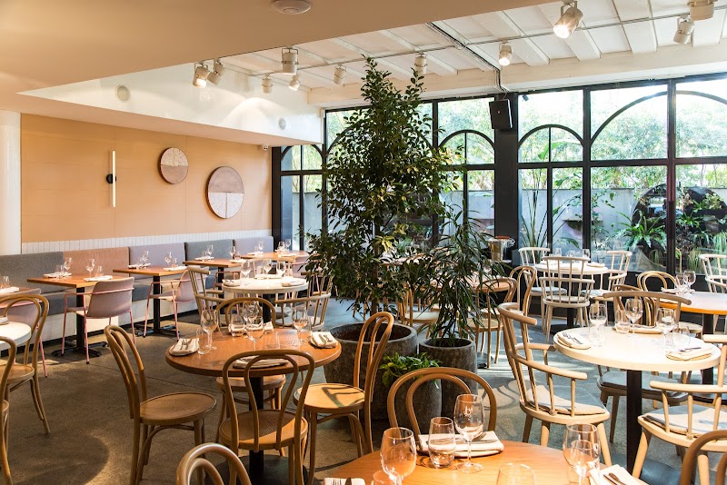 Nour / Surry Hills Place mentioned in saved reels