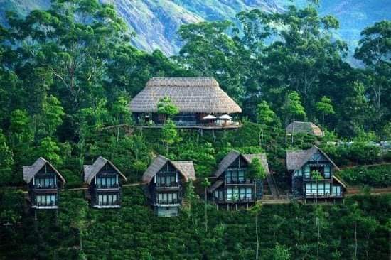 Nuwara Eliya / Sri Lanka Place mentioned in saved reels
