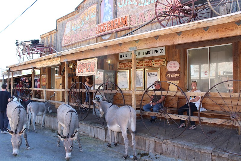 Oatman / Arizona Place mentioned in saved reels