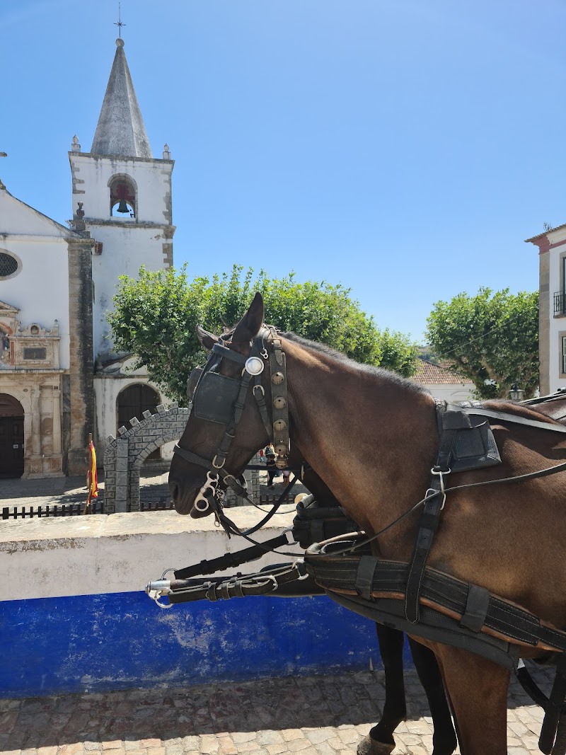 Obidos / Portugal