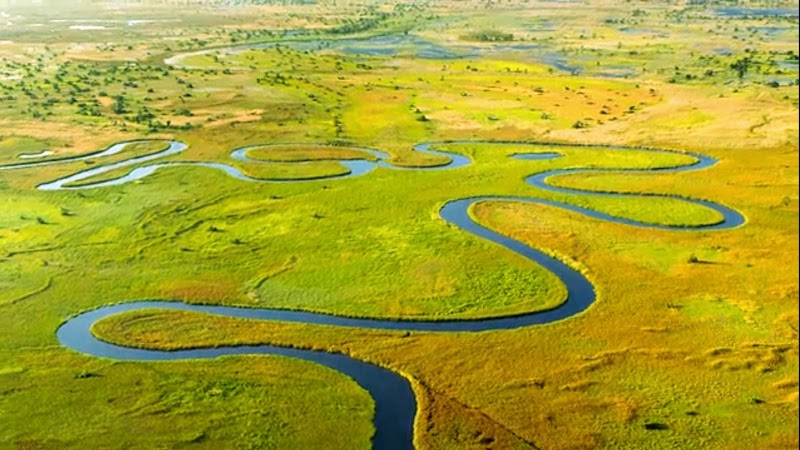 Okavango Delta / Botswana