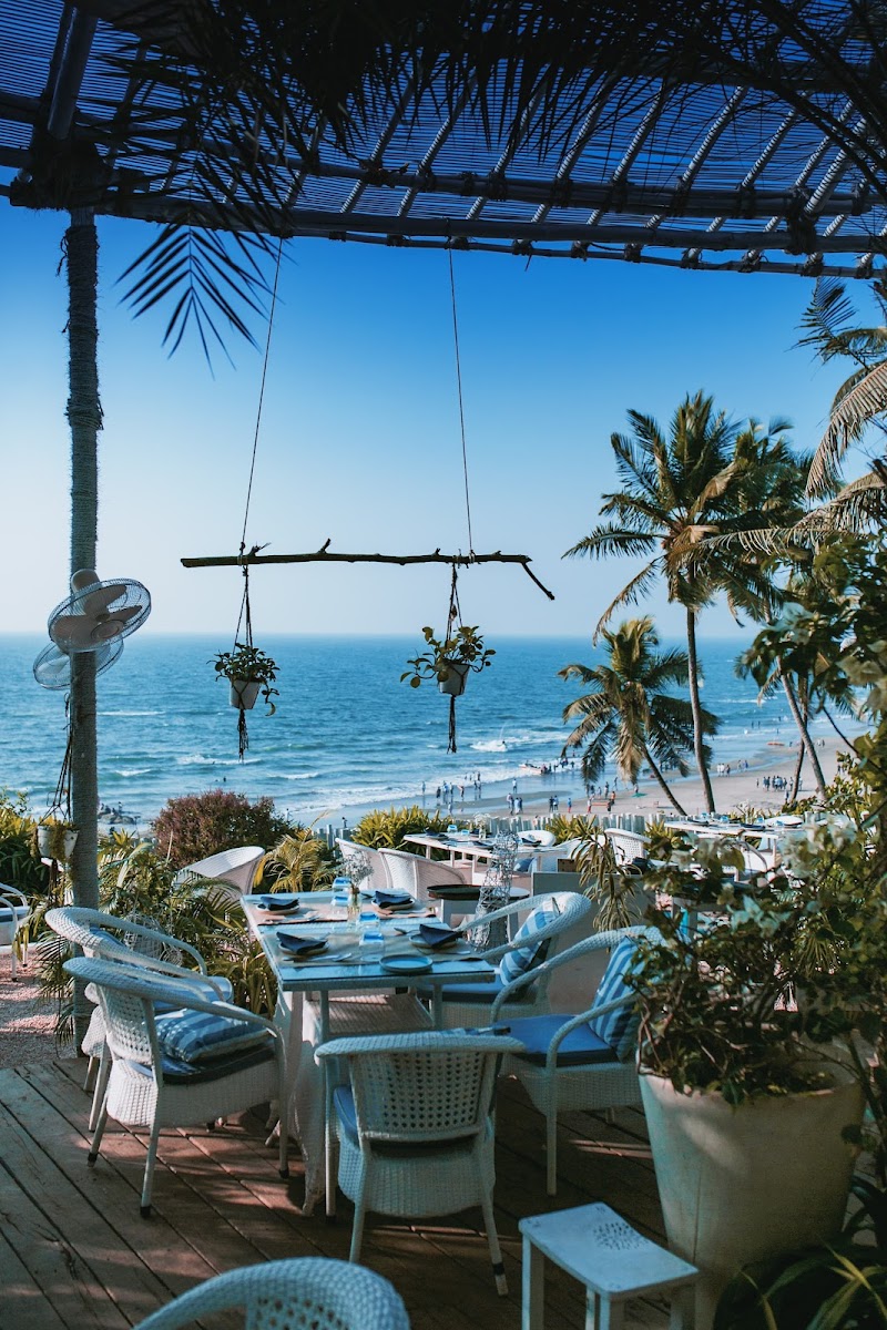 Olive / Goa Place mentioned in saved reels