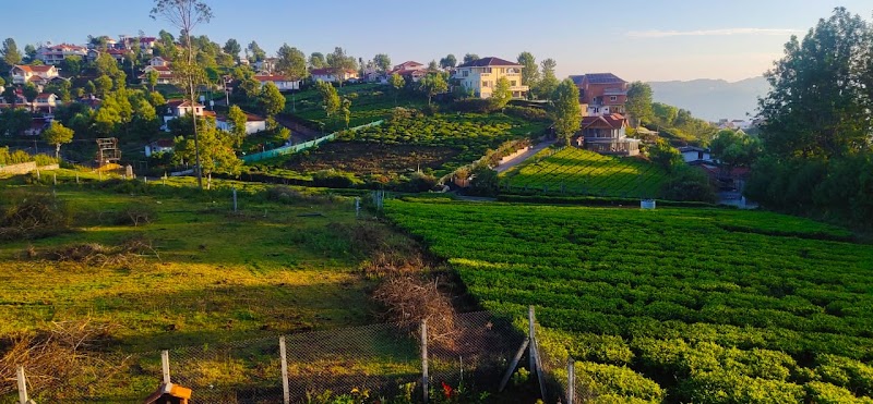 Ooty / Tamil Nadu Place mentioned in saved reels