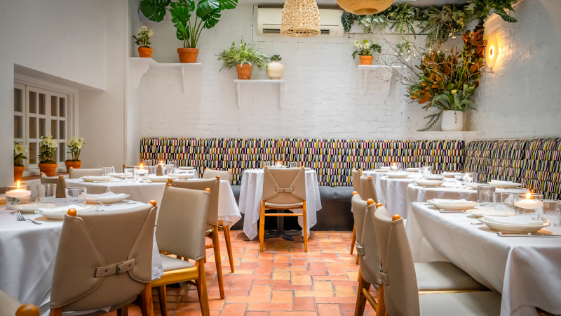 Opto / Chelsea Place mentioned in saved reels