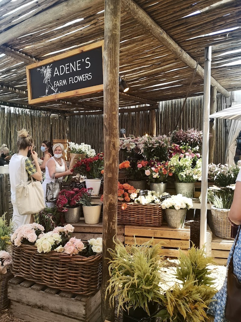 Oranjezicht Market / Cape Town Place mentioned in saved reels