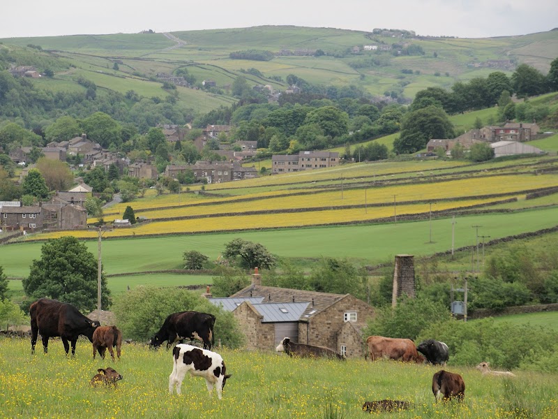 Oxenhope Place mentioned in saved reels
