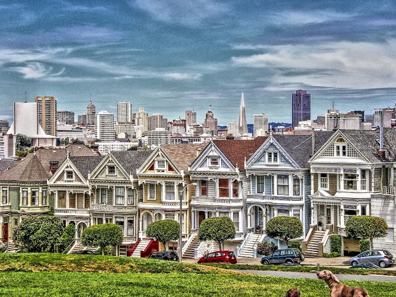 Painted Ladies / San Francisco Place mentioned in saved reels
