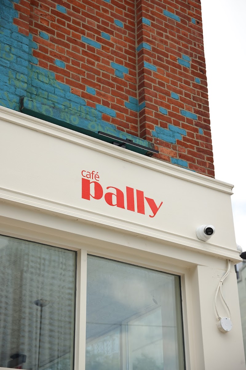 Pally / Williamsburg