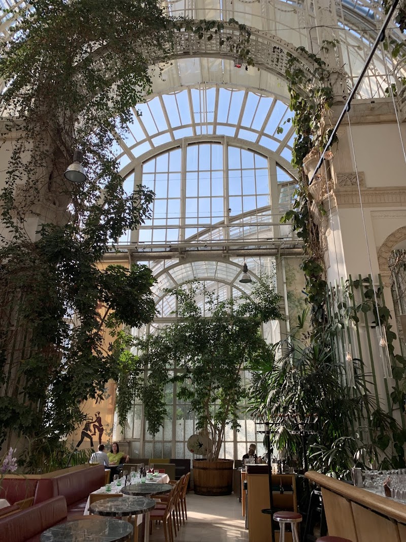 Palmenhaus Schönbrunn / Vienna Place mentioned in saved reels