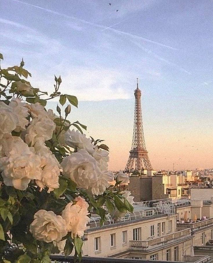 París / Francia Place mentioned in saved reels