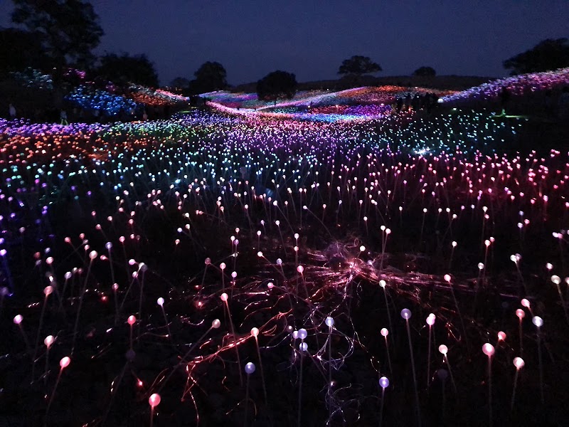 Paso Robles Place mentioned in saved reels