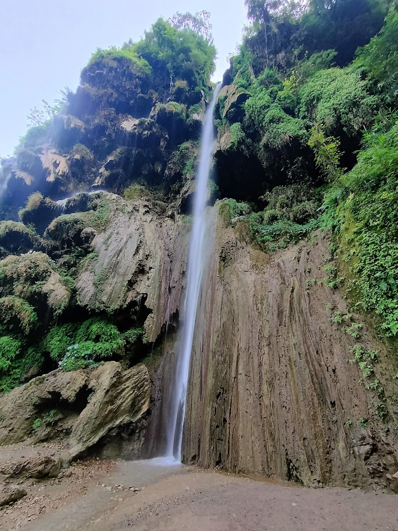 Patna Waterfall / Rishikesh Place mentioned in saved reels