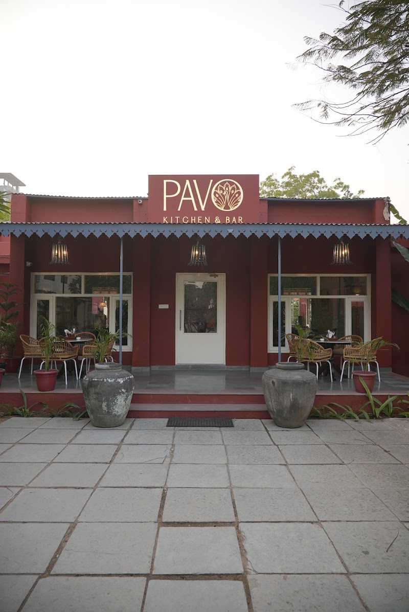 Pavo / Jaipur Place mentioned in saved reels
