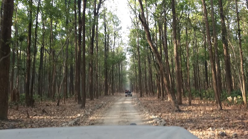 Pawalgarh Place mentioned in saved reels