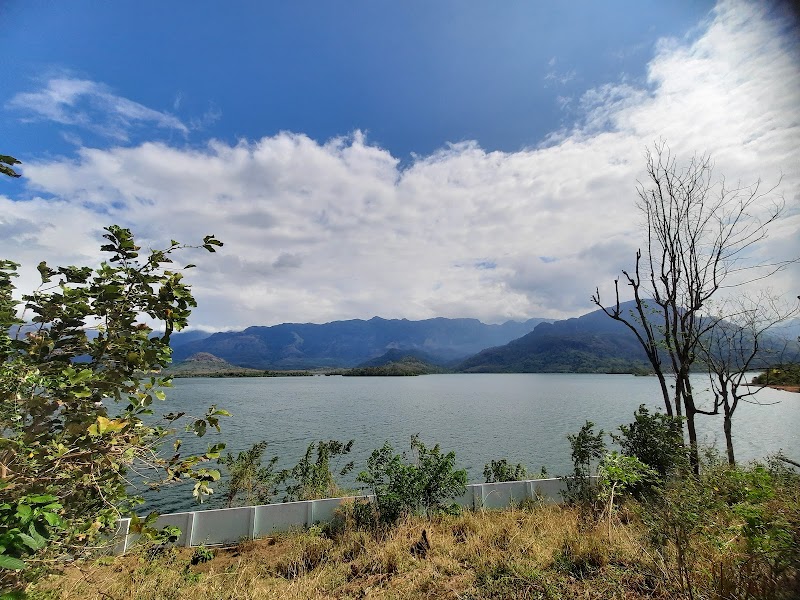 Pechiparai Boating / Kanyakumari