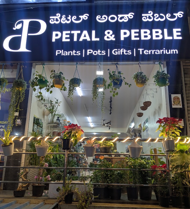 Petal & Bean / Jp Nagar Place mentioned in saved reels
