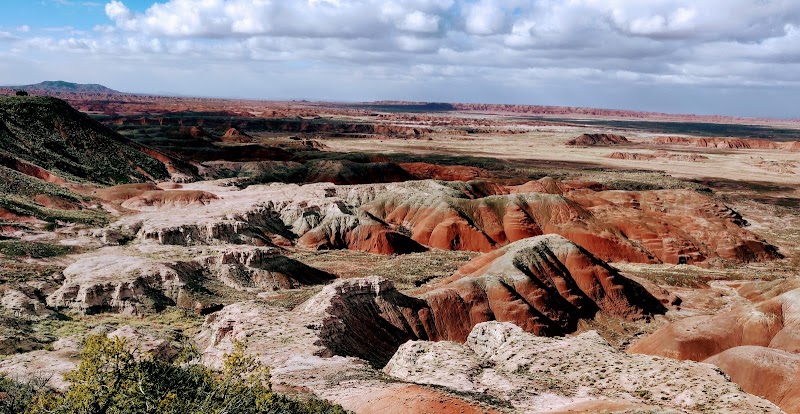 Petrified Forest National Park / Arizona Place mentioned in saved reels