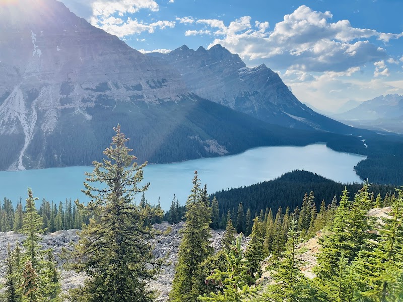 Peyto Lake / Banff