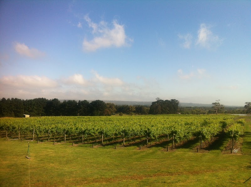 Phaedrus Estate / Moorooduc Place mentioned in saved reels