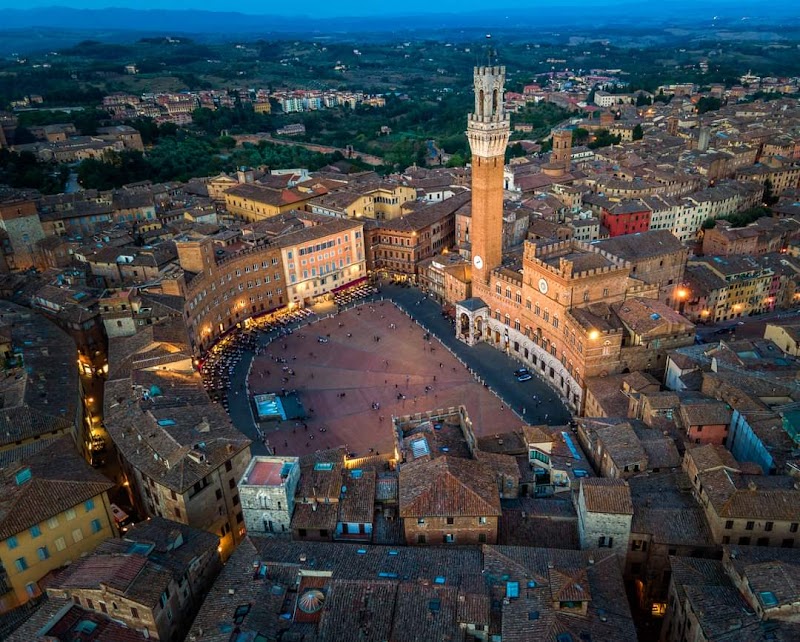 Piazza del Campo / Siena